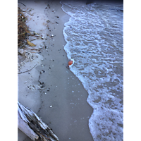 King tide image
